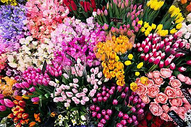 举重冠军谈《战神5》索尔：大肚腩代表超级力量